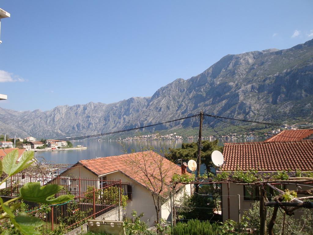 Apartments Nima Kotor Exterior photo